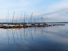 Spiegeltag: Am Steinhuder Meer