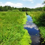 Spiegeltag: Am Steinhuder Meer