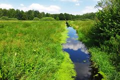 Spiegeltag: Am Steinhuder Meer