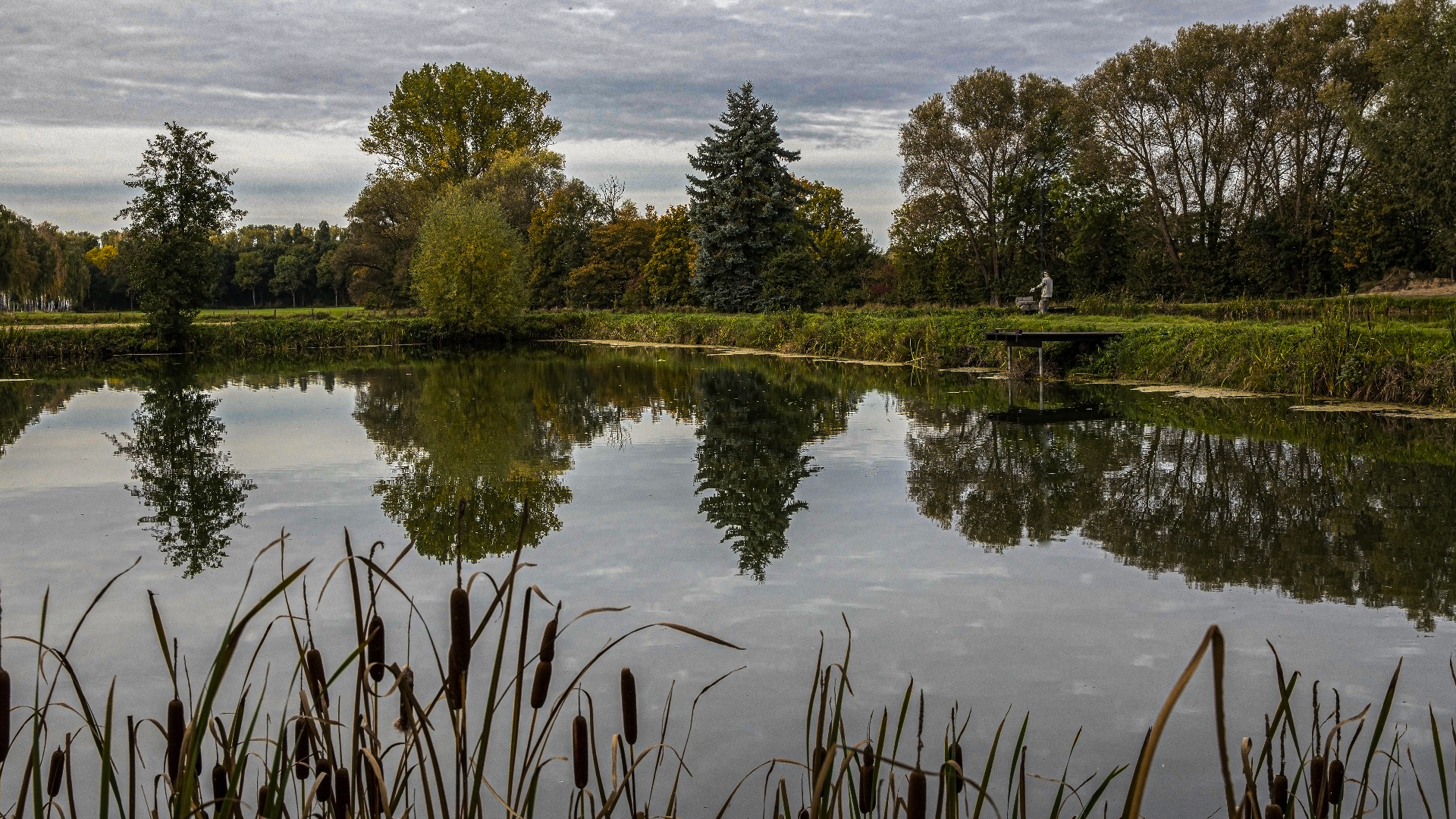 Spiegeltag - Am Teich