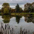 Spiegeltag - Am Teich