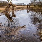 Spiegeltag - Am Teich