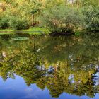 Spiegeltag - Am Teich