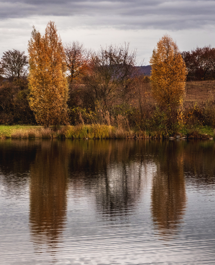 Spiegeltag - Am Teich