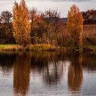 Spiegeltag - Am Teich