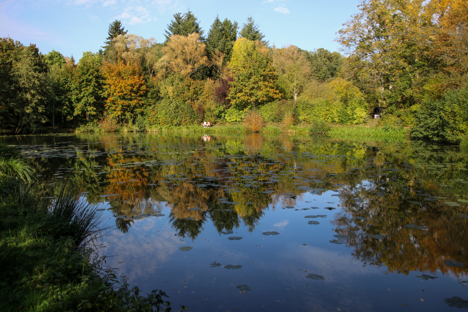 Spiegeltag am Teich