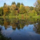 Spiegeltag am Teich