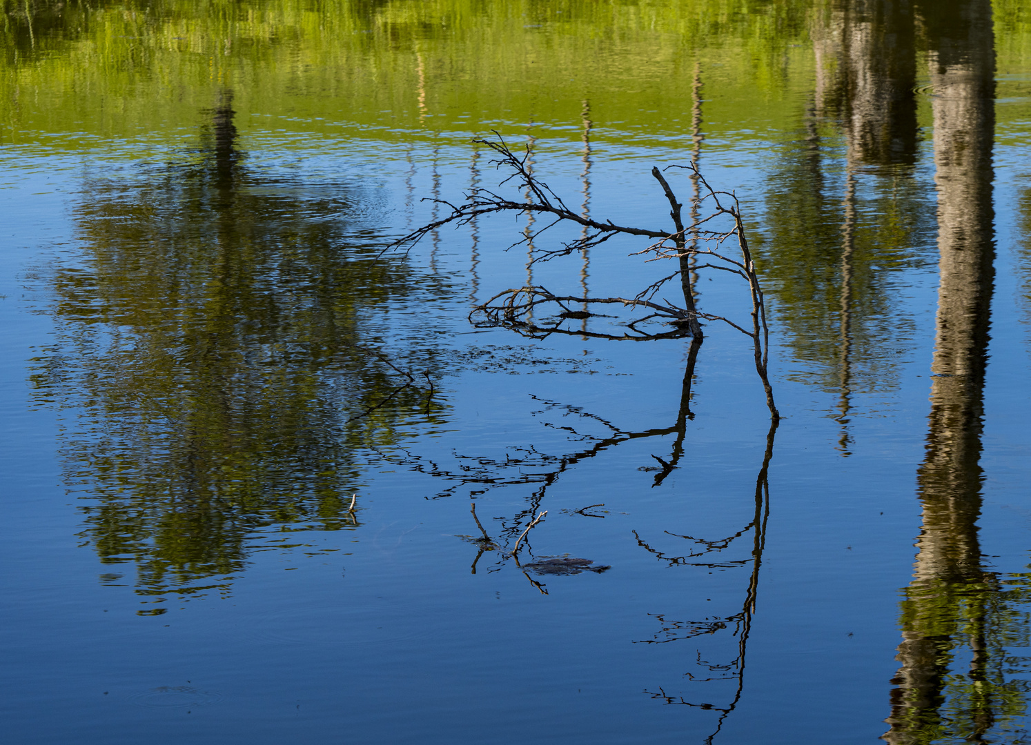 Spiegeltag - Am Weiher