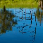 Spiegeltag - Am Weiher