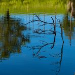 Spiegeltag - Am Weiher