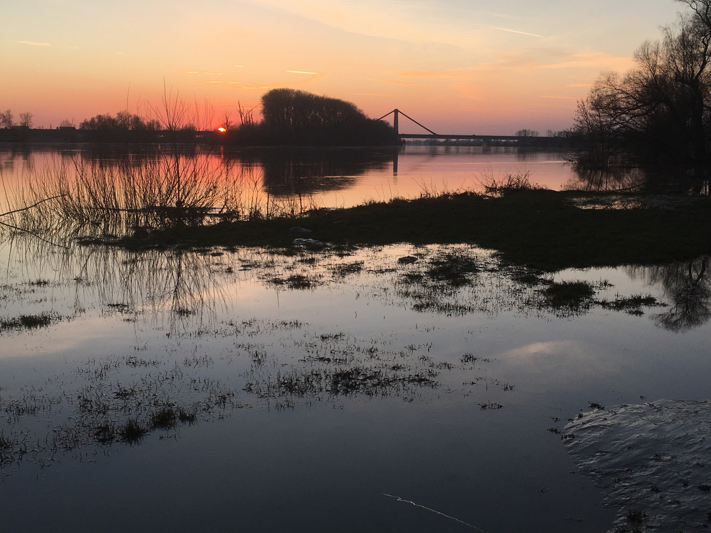 Spiegeltag an der Donau