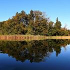 Spiegeltag an der Feldberger Seenplatte