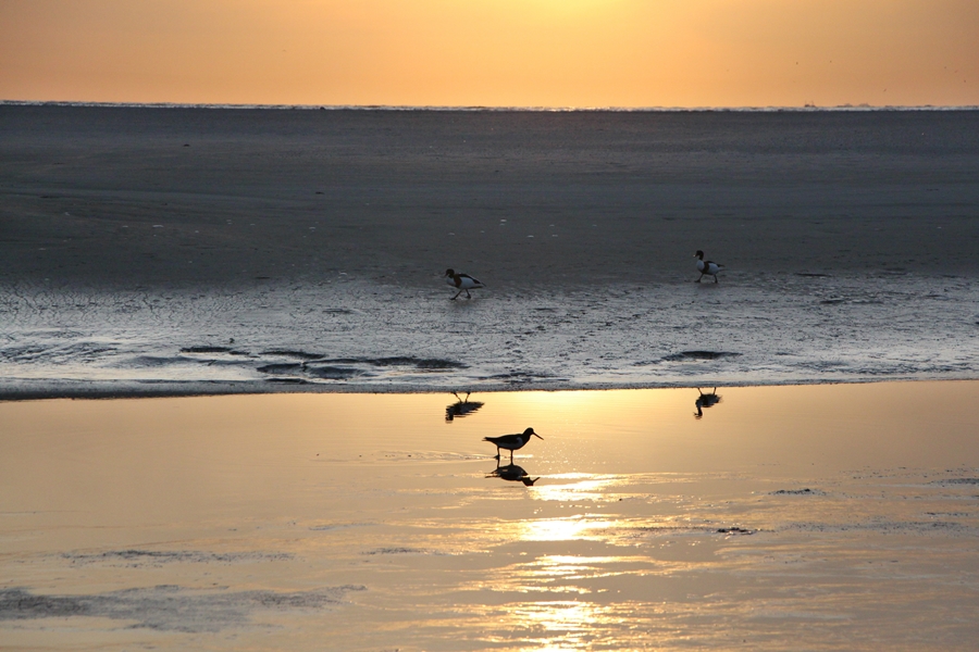 Spiegeltag an der Nordsee