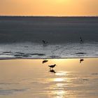 Spiegeltag an der Nordsee