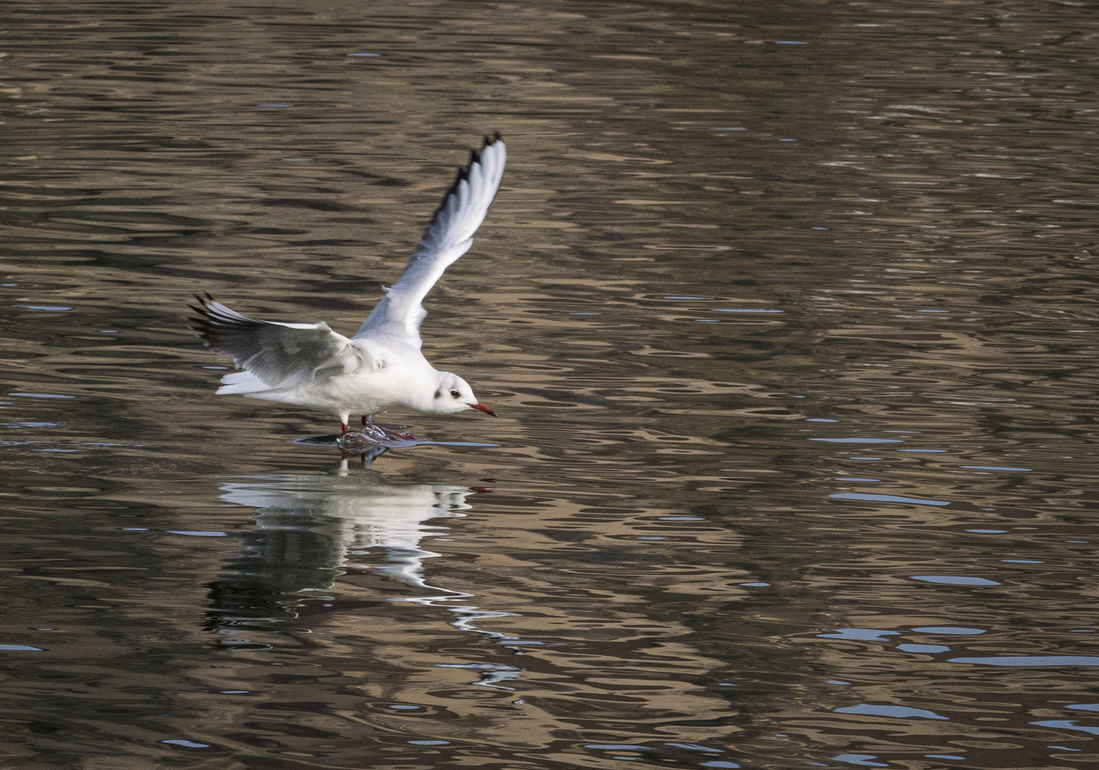 Spiegeltag - Anflug