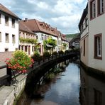 Spiegeltag     --      Annweiler an der Queich