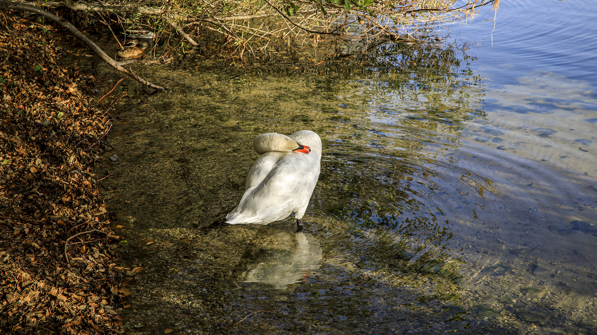 Spiegeltag - Auszeit