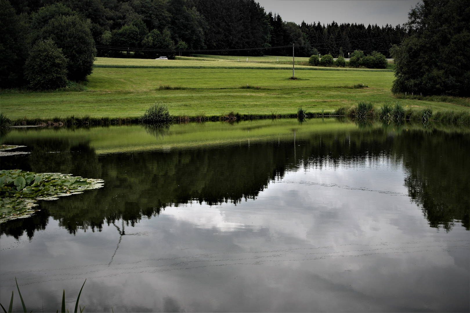 Spiegeltag : Autos fahren " unterwasser"