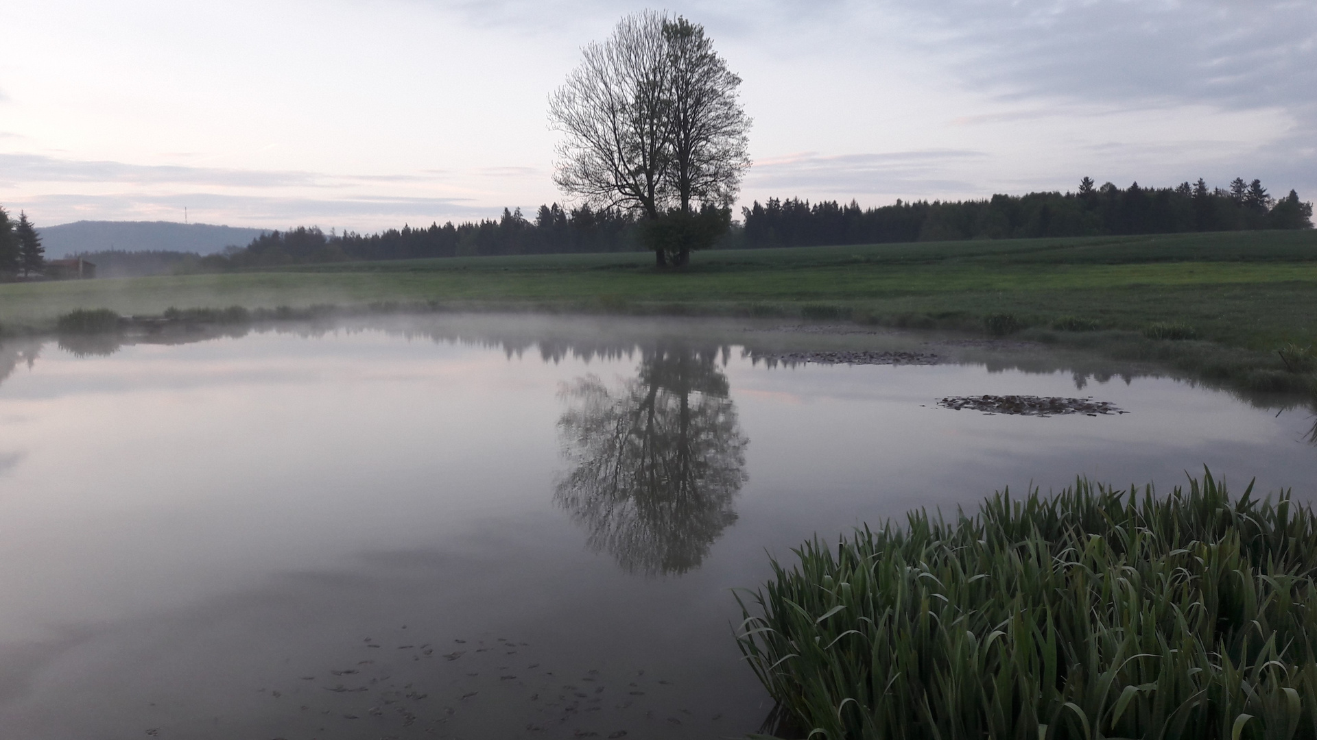 Spiegeltag ":Beschlagene " Spiegelfläche