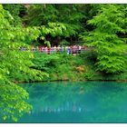 Spiegeltag- Besucher des Blautopfs