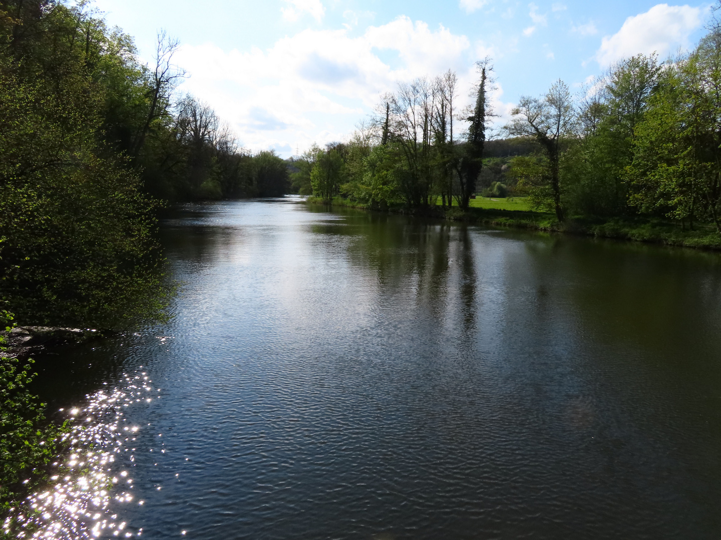 Spiegeltag: Blick auf die Enz im Enzkreis.