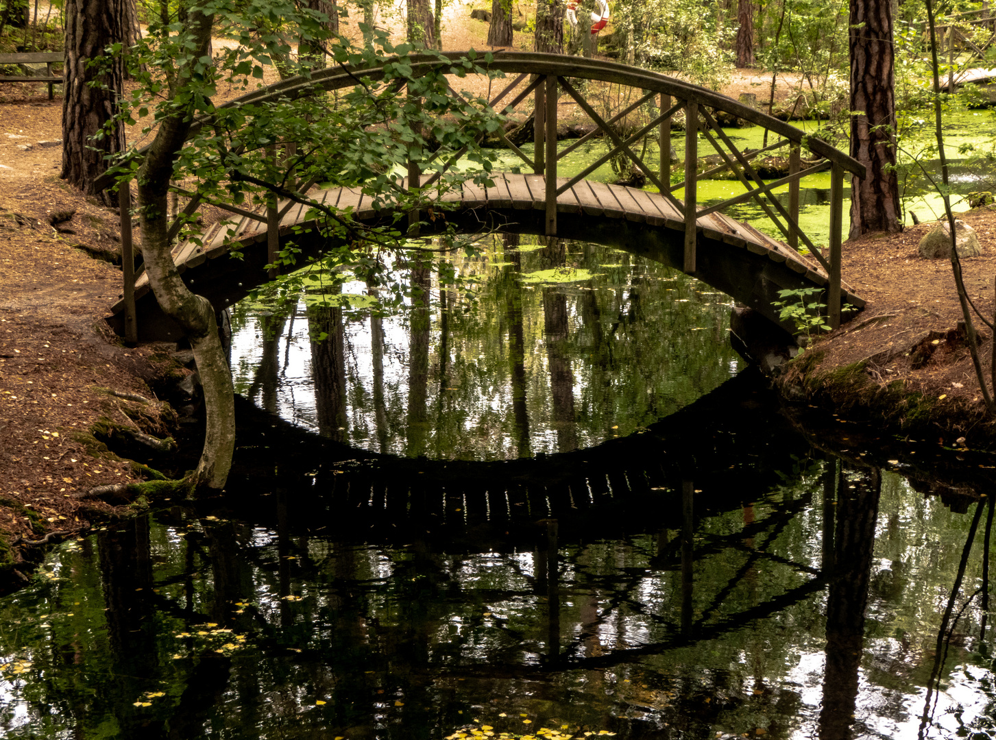 Spiegeltag - Brücke im Skansen Stockholm