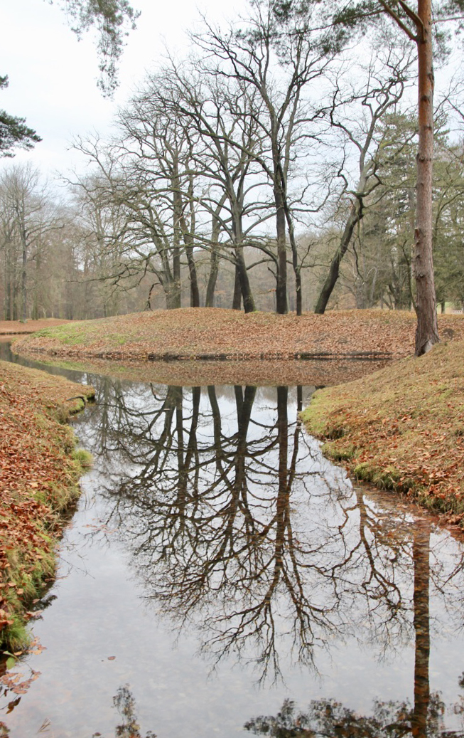 Spiegeltag:  Bucht im Schlangensee