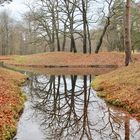 Spiegeltag:  Bucht im Schlangensee