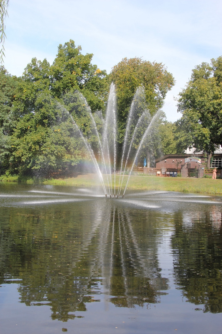 Spiegeltag: Cottbus Amtsteich 