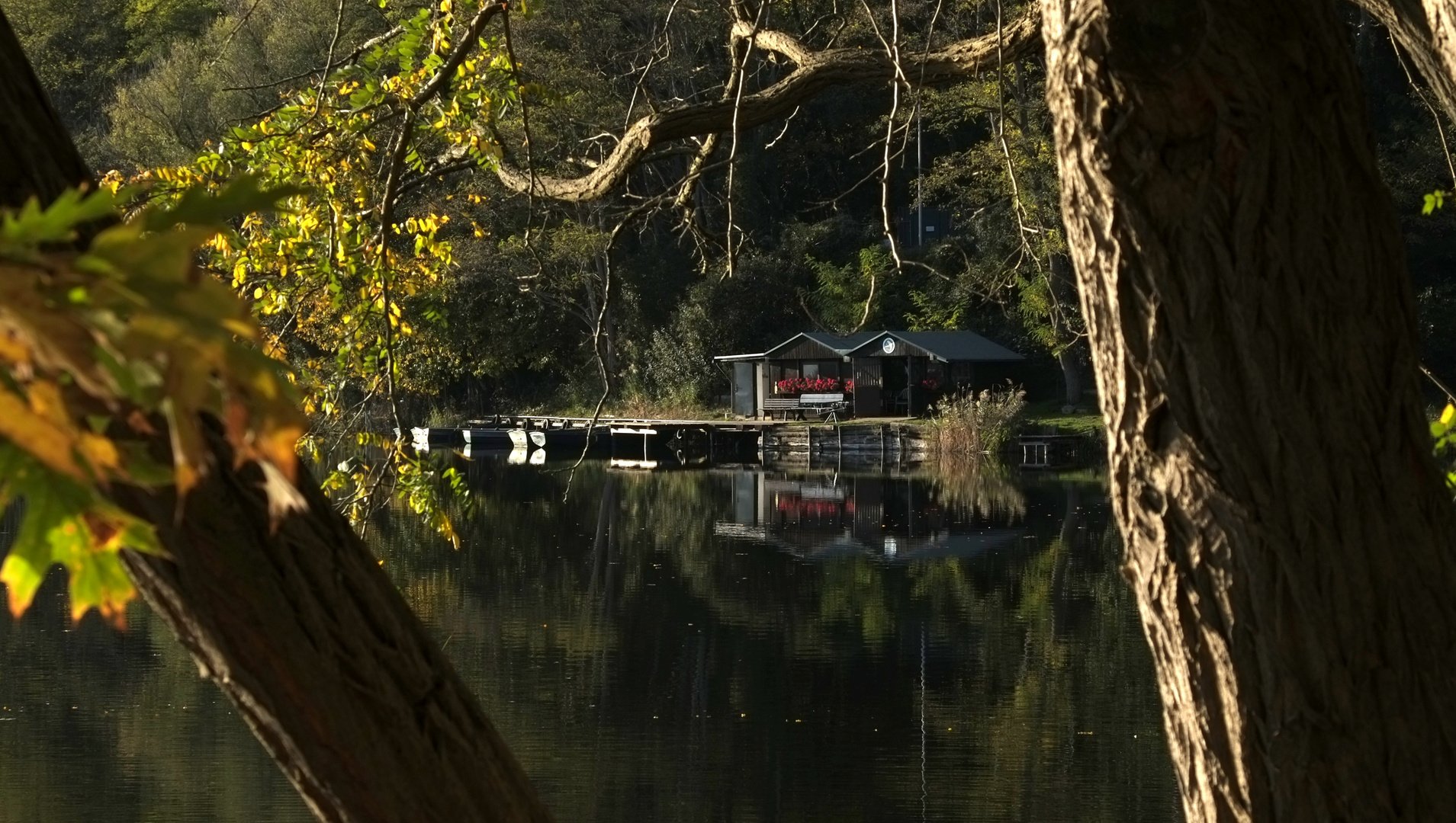 *Spiegeltag*  -  das Bootshaus