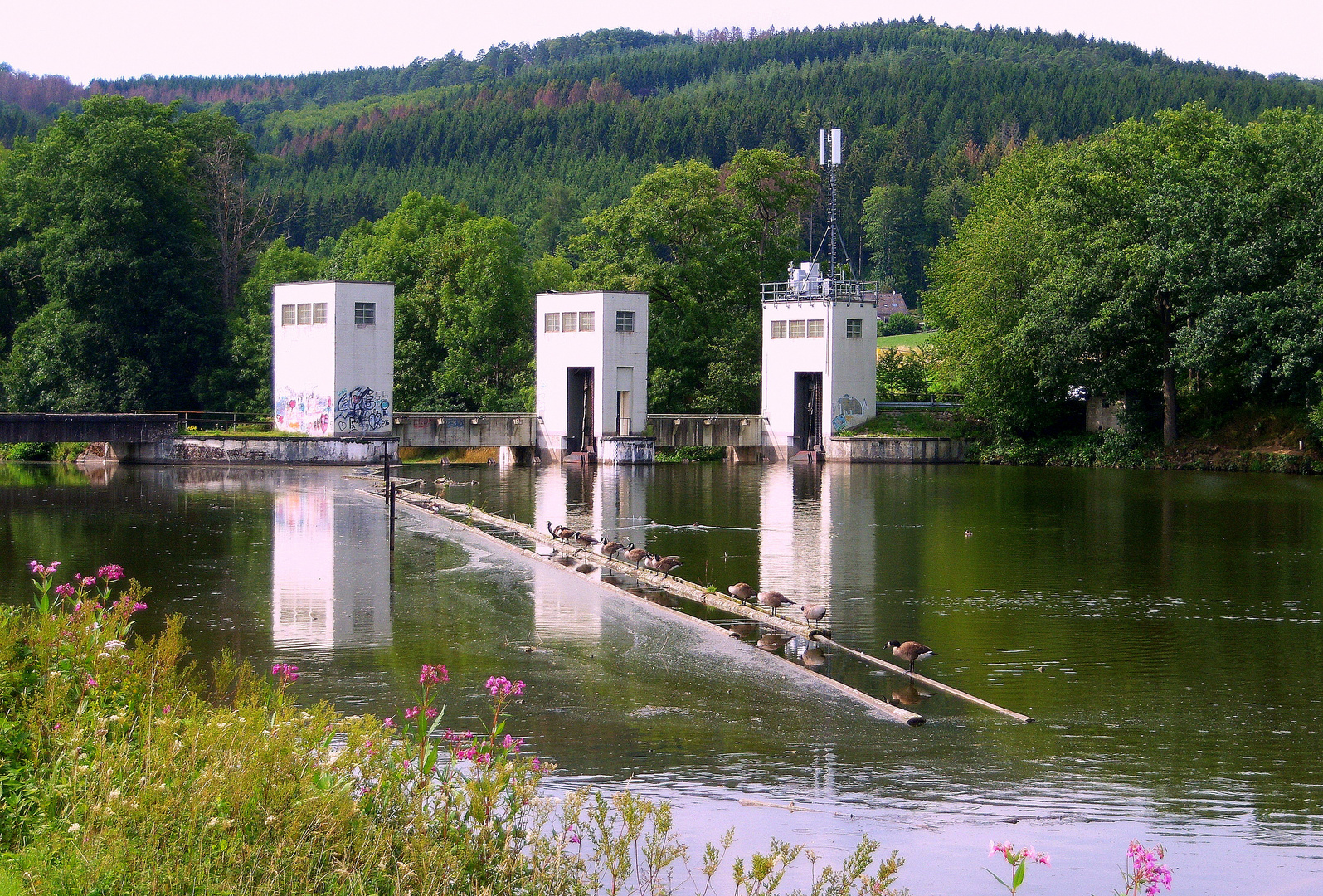 *Spiegeltag*  -  der Aggerstausee