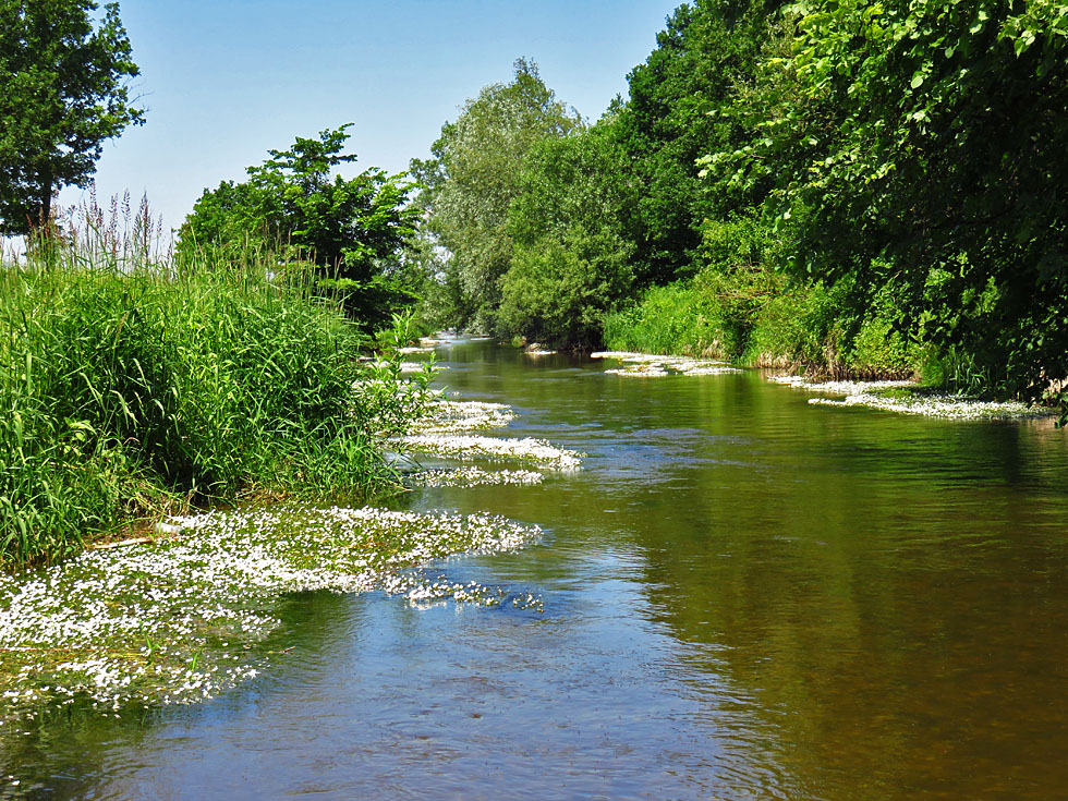Spiegeltag: der kleine Fluss Naarn...