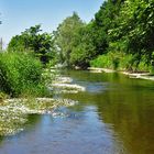 Spiegeltag: der kleine Fluss Naarn...