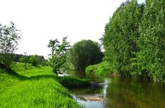 Spiegeltag: Der kleine Fluss Naarn