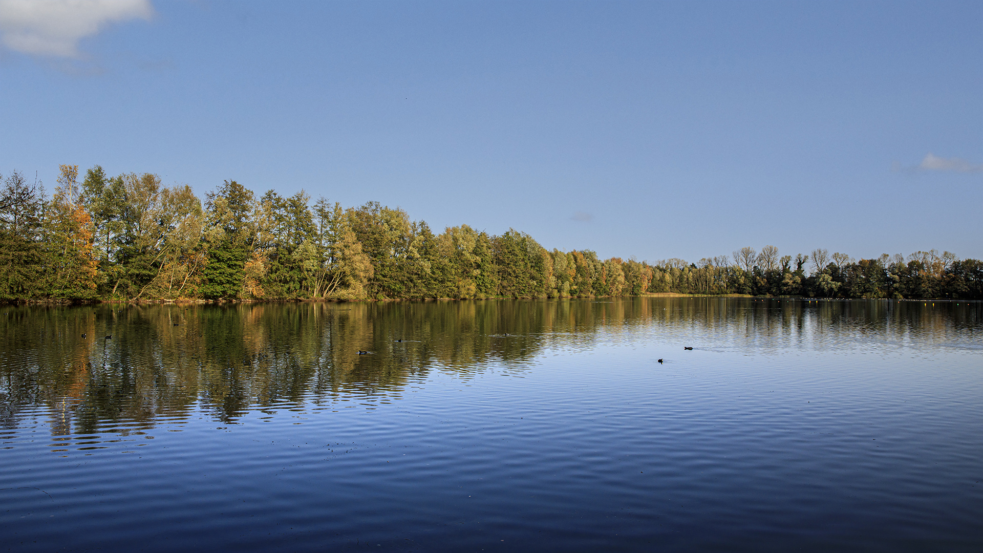 Spiegeltag - Der Möhnesee