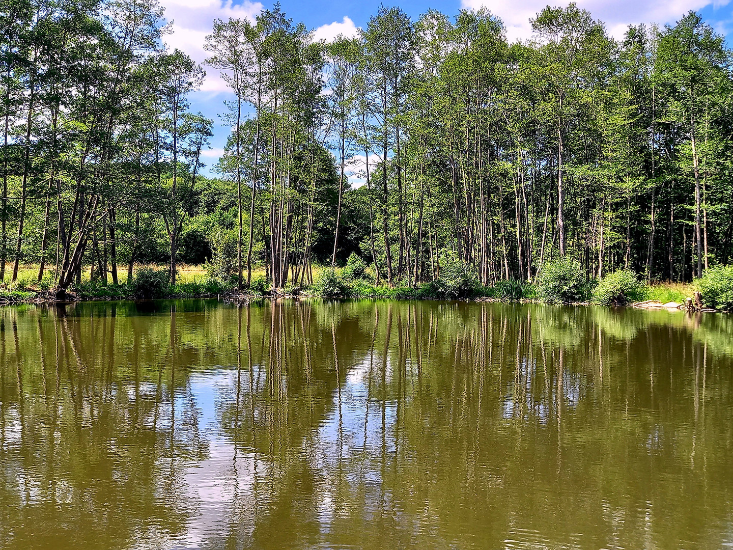 *Spiegeltag*  -  der Römerweiher