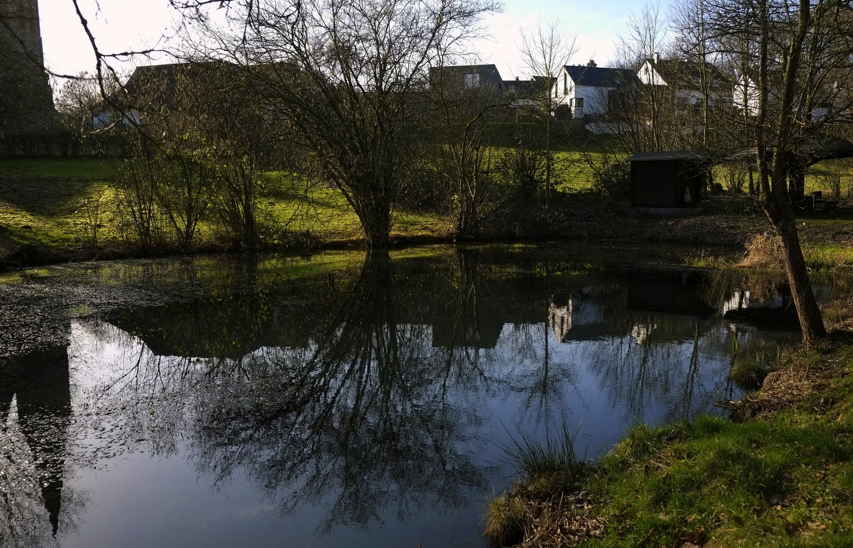 *Spiegeltag*  -  der Weiher