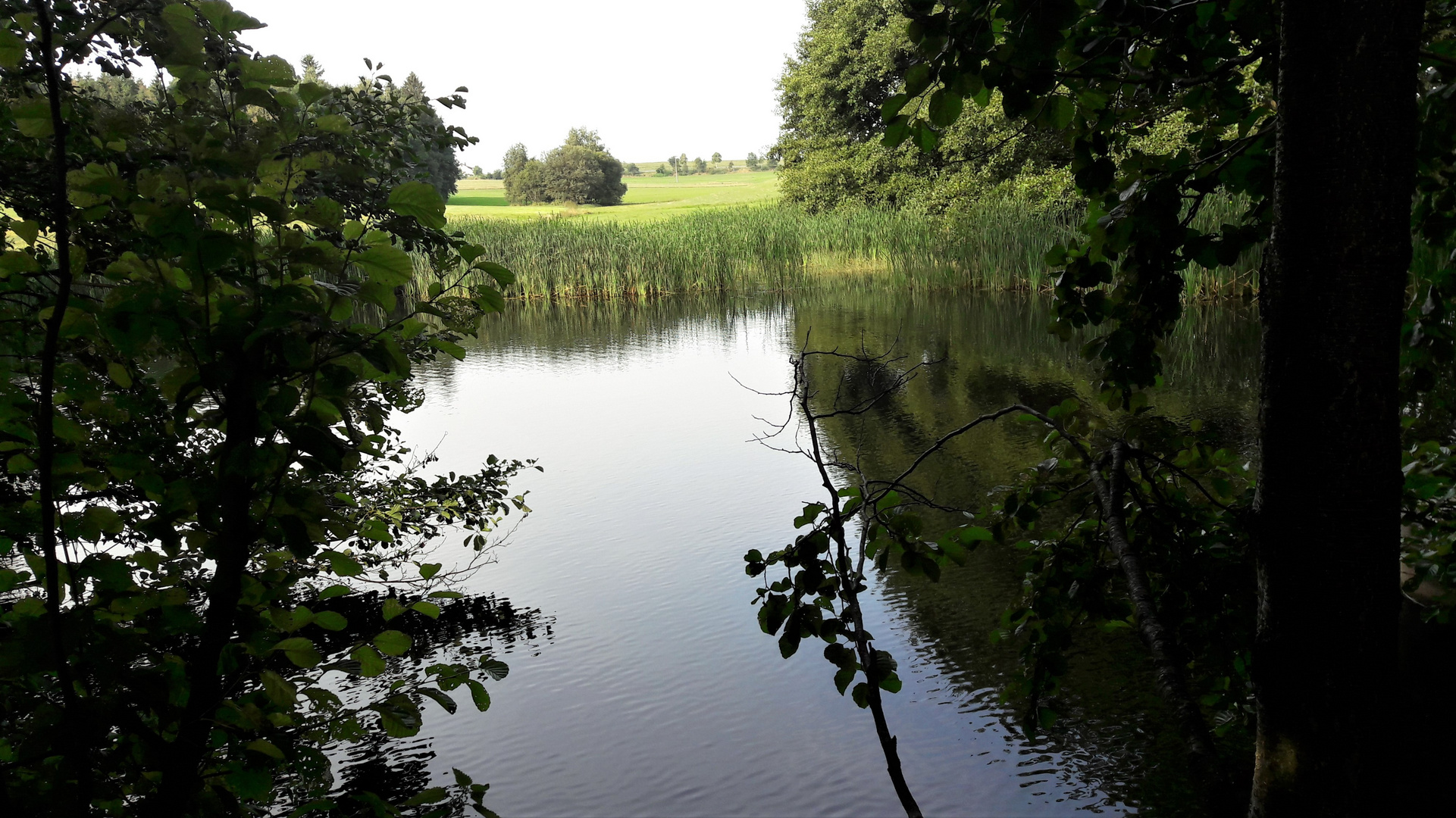 Spiegeltag Diffuse Spiegelung in meinem "Lernschwimmteich"