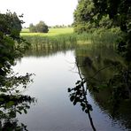 Spiegeltag Diffuse Spiegelung in meinem "Lernschwimmteich"