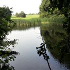 Spiegeltag Diffuse Spiegelung in meinem "Lernschwimmteich"