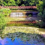 Spiegeltag Dinkelsbühl Wörnitzwasserfall an Staustelle Eisensteg