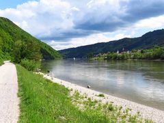 Spiegeltag: Donauradweg gegenüber Engelhartszell