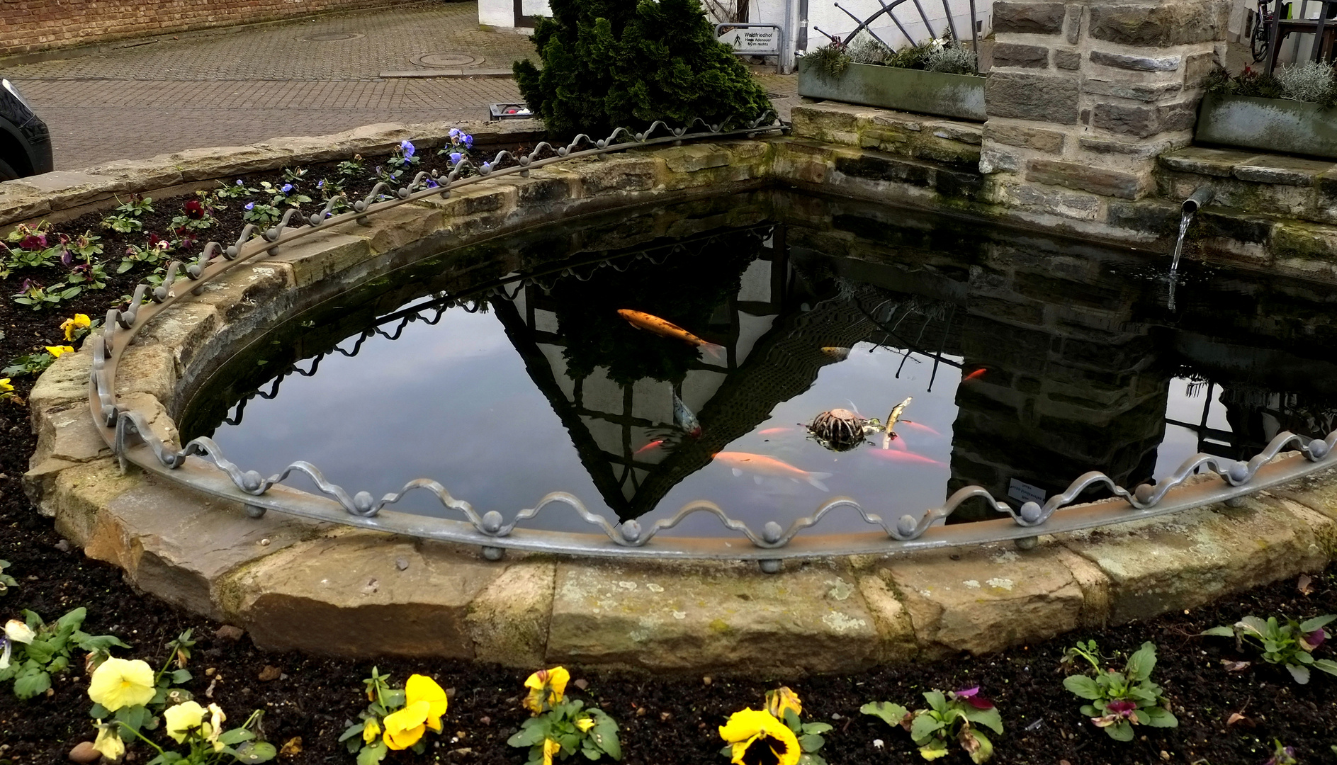 *Spiegeltag*  -  Drachenfelsbrunnen