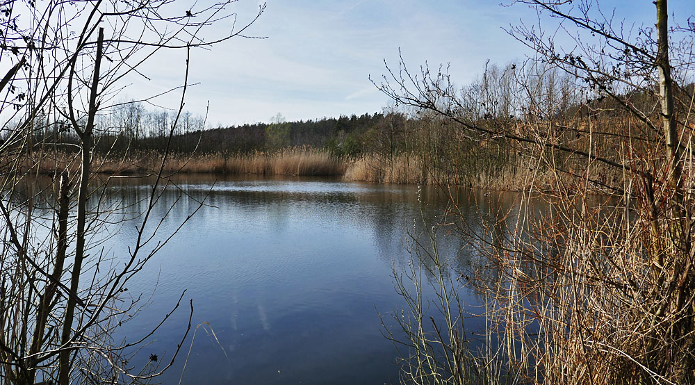 Spiegeltag: ehemalige Kiesgrube