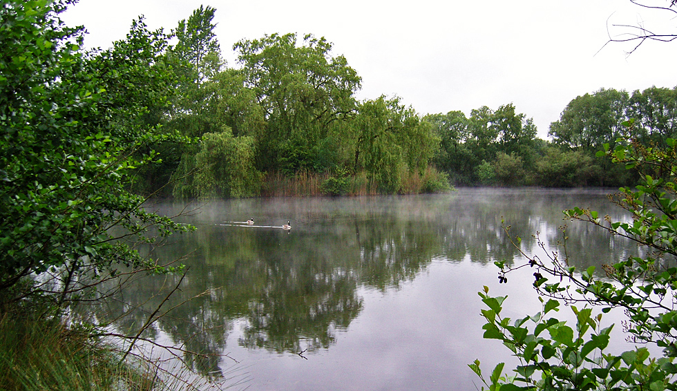 Spiegeltag: Ein See im Naturschutzgebiet