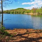 Spiegeltag: Ein See in der Nähe