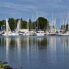 Spiegeltag: einer der Häfen vor Schleswig...