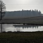 Spiegeltag: Eisspiegelung neben Wasserspiegelung