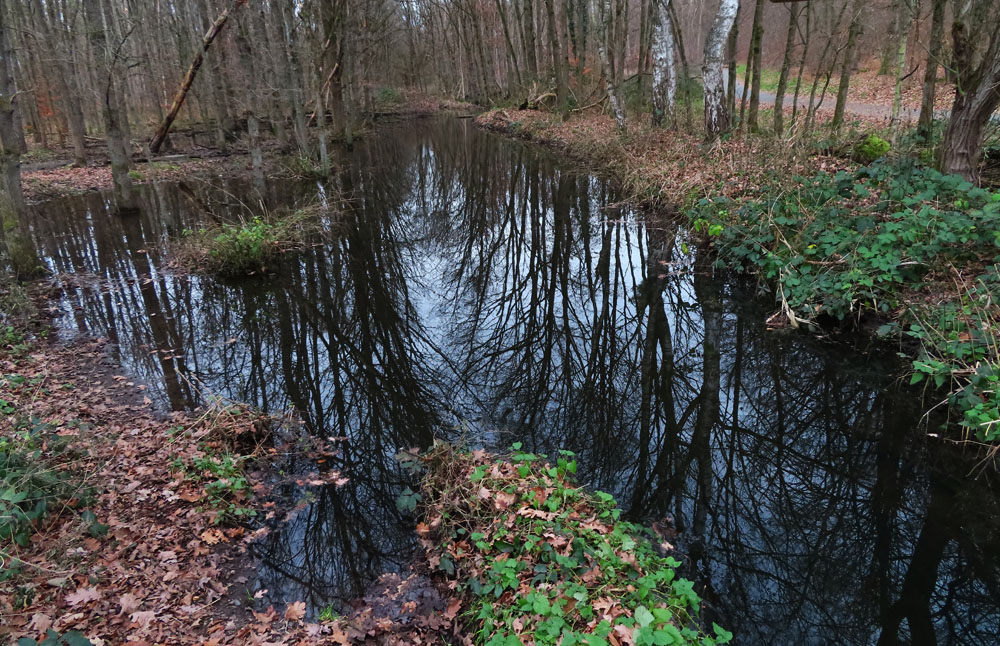 Spiegeltag: erster Stopp...