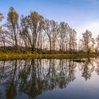 Spiegeltag - Fischteich